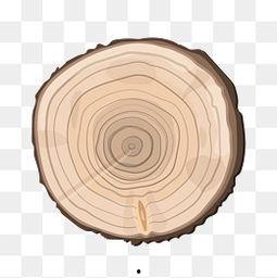 年轮照片,揭秘树木的岁月故事