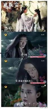 花千骨拍摄销魂钉花絮,销魂钉花絮背后的感人瞬间