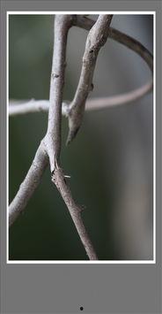 苦腾图片,探寻奋斗者的心灵轨迹